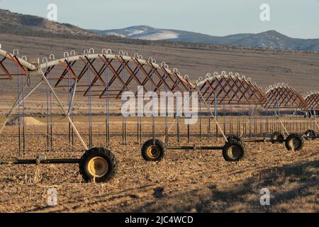 Linear Move selbstfahrende Bewässerungssprinkler auf einem Bauernhof in der Nähe von Milford, Utah. Stockfoto