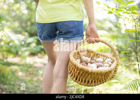 Junge Frau mit Pilzen im Korbkorb beim Spaziergang im Wald Stockfoto