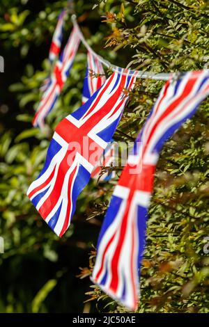 Union Jack Ammer in einem Garten Stockfoto