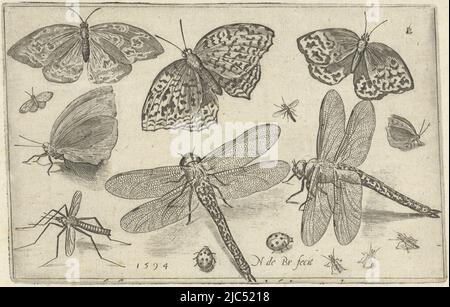 Schmetterlinge und Libellen Vögel und Insekten (Serientitel), Druckerei: Nicolaes de Bruyn, (auf Objekt erwähnt), Nicolaes de Bruyn, Verlag: Francoys van Beusekom, Antwerpen, 1594, Papier, Gravur, H 86 mm × B 125 mm Stockfoto