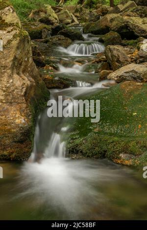 Plomnica Bach in der Nähe von Karpacz Stadt im Frühjahr bald frischen Morgen Stockfoto