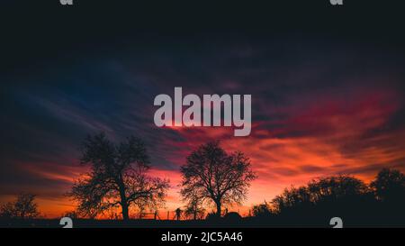 Sonnenuntergang durch eine Eiche in der Nähe von San Jose, Kalifornien Stockfoto