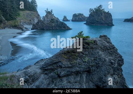 USA, Pazifischer Nordwesten, Oregon Coast, Oregon, Samuel S. Boardman, State Park, Secret Beach *** Ortsüberschrift *** USA, Amerika, Oregon, Samuel S. Board Stockfoto