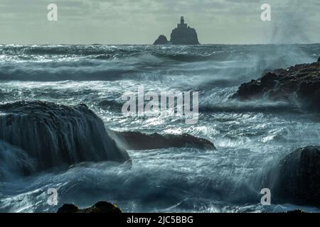 USA, Oregon Coast, Oregon, Clatsop County, Cannon Beach, Tillamook Lighthouse *** Ortsüberschrift *** USA, Oregon Coast, Oregon, Clatsop County, Cannon Stockfoto