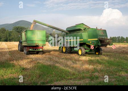 Der Laufener Landschaften auf dem Feld bei Triebenbach - Stadt Laufen - wird geerntet - für die Brauerei Wieninger *** Ortsüberschrift *** Rupertiwinkel, Stockfoto