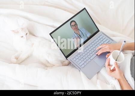 Unbekanntes Mädchen, das sich ein Video mit medizinischem Rat auf einem Laptop ansieht. Eine Frau führt ein Online-Gespräch mit einem Arzt über eine Webcam. Die Katze liegt Stockfoto
