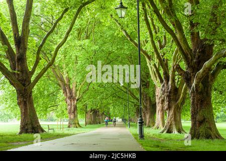 Frühlingsmorgen bei Jesus Green in Cambridge, England. Stockfoto