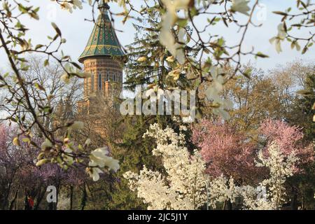 Rumänisch-orthodoxe Kathedrale von Timisoara im Frühling Stockfoto