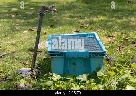 Ein Wasser tropft aus einem Wasserhahn im Freien in einen Kunststoffbehälter Stockfoto