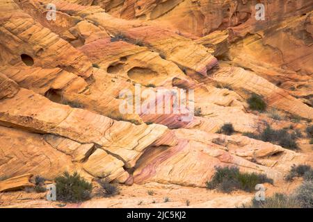 Farbenfrohe Felsformationen im Valley of Fire State Park, Nevada, USA Stockfoto