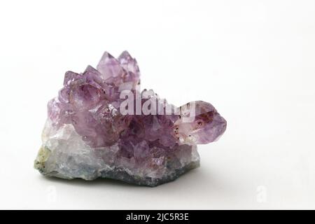 Detail eines Amethyst-Kristalls, violette makrokristalline Quarzsorte isoliert auf weißem Hintergrund Stockfoto