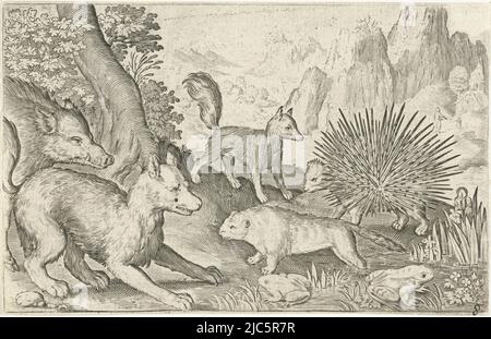 Wildschwein, Fuchs, Biber, Stachelschwein und Frösche Animalivm qvadrvpedvm (Serientitel) Tiere in Landschaften (Serientitel), Druckerei: Nicolaes de Bruyn, Nicolaes de Bruyn, Verlag: Claes Jansz. Visscher (II), Druckerei: Niederlande, Verlag: Amsterdam, 1594 und/oder 1621, Papier, Gravur, H 83 mm × B 130 mm Stockfoto
