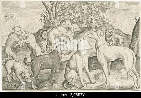 Neun Hunde Animalivm qvadrvpedvm (Serientitel) Tiere in Landschaften (Serientitel), Druckerei: Nicolaes de Bruyn, (Objektbezeichnung), Nicolaes de Bruyn, Verlag: Claes Jansz. Visscher (II), Druckerei: Niederlande, Verlag: Amsterdam, 1594 und/oder 1621, Papier, Gravur, H 84 mm × B 129 mm Stockfoto