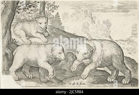 Drei Bären Animalivm qvadrvpedvm (Serientitel) Tiere in Landschaften (Serientitel), Druckerei: Nicolaes de Bruyn, (Objektbezeichnung), Nicolaes de Bruyn, Verlag: Claes Jansz. Visscher (II), Druckerei: Niederlande, Verlag: Amsterdam, 1594 und/oder 1621, Papier, Gravur, H 80 mm × B 125 mm Stockfoto