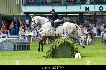 Brighton UK 10. June 2022 - die Massen genießen die Sonne auf der South of England Show, die auf dem Ardingly Showground in Sussex UK stattfindet. Die Show feiert an drei Tagen das Beste in der britischen Landwirtschaft: Credit Simon Dack / Alamy Live News Stockfoto