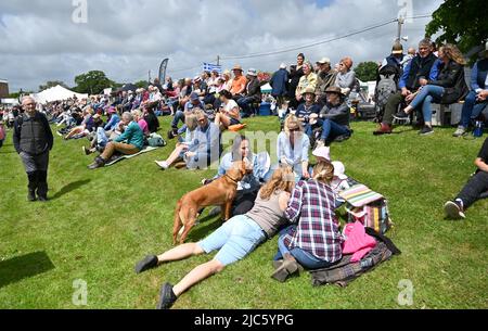 Brighton UK 10. June 2022 - die Massen genießen die Sonne auf der South of England Show, die auf dem Ardingly Showground in Sussex UK stattfindet. Die Show feiert an drei Tagen das Beste in der britischen Landwirtschaft: Credit Simon Dack / Alamy Live News Stockfoto