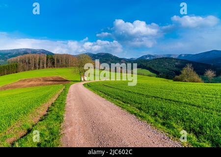 Deutschland, Schwarzwald Naturlandschaft Panoramablick mit schneebedeckten Berggipfeln im Frühling bei Sonnenuntergang, Tourismusregion zum Wandern Stockfoto