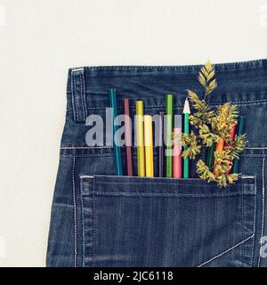 Eine Gruppe Buntstifte und ein grünes Stachelett in einer Jeanentasche Stockfoto