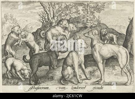 Neun Hunde Animalivm qvadrvpedvm (Serientitel) Tiere in Landschaften (Serientitel), Druckerei: Nicolaes de Bruyn, (Objektbezeichnung), Nicolaes de Bruyn, Verlag: Assuerus van Londerseel, (Objektbezeichnung), Druckerei: Niederlande, Verlag: Antwerpen, 1594, Papier, Gravur, H 89 mm × B 129 mm Stockfoto