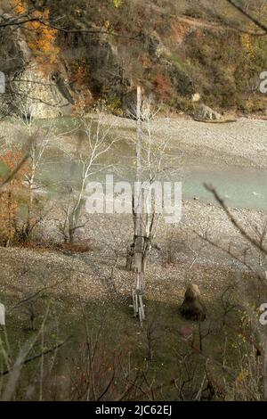 Schmale, lange Hängebrücke über den Fluss Putna in Vrancea, Rumänien Stockfoto