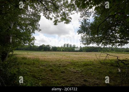 Newton Abbot, Großbritannien. 10.. Juni 2022. UK Wetter: 10 Jun 2022. Teilweise bewölkt, Newton Abbot, Devon, Großbritannien Credit: Will Tudor/Alamy Live News Stockfoto