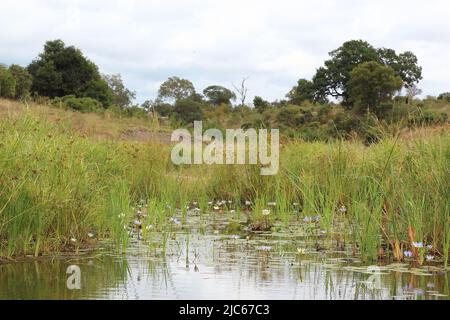 Biyamiti Wehr/Biyamiti Wehr/ Stockfoto