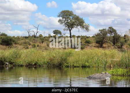 Biyamiti Wehr/Biyamiti Wehr/ Stockfoto