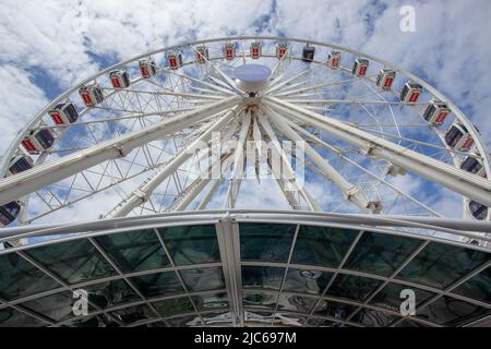 Riesenrad, Hafengebiet Von Kapstadt Stockfoto