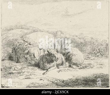 Ein schlafender Schaf in einer Landschaft. Daneben zwei Lämmer, Reclining Sheep with two Lambs, Druckerei: William Young Ottley, Druckerei: Charles Walker, (abgelehnte Zuordnung), Jan van der Meer (II), (auf Objekt erwähnt), London, 1685 und/oder 1828, Papier, Ätzung, H 120 mm × B 147 mm Stockfoto