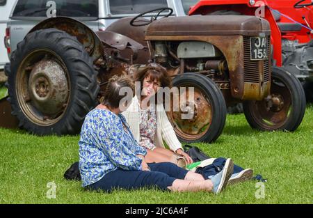 Brighton UK 10. June 2022 - die Massen genießen die Sonne auf der South of England Show, die auf dem Ardingly Showground in Sussex UK stattfindet. Die Show feiert an drei Tagen das Beste in der britischen Landwirtschaft: Credit Simon Dack / Alamy Live News Stockfoto