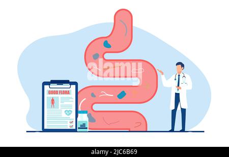 Vektor eines Arztes, der den Magen-Darm-Trakt untersucht und einen Bericht über eine gesunde, gute Flora gibt Stock Vektor