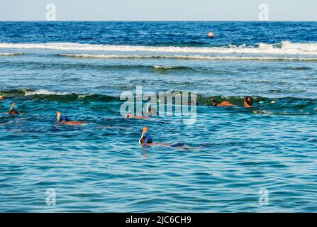 Eine Gruppe von Menschen schnorcheln über dem Korallenriff im Roten Meer in der Nähe von Marsa Alam, Ägypten, Afrika. Stockfoto