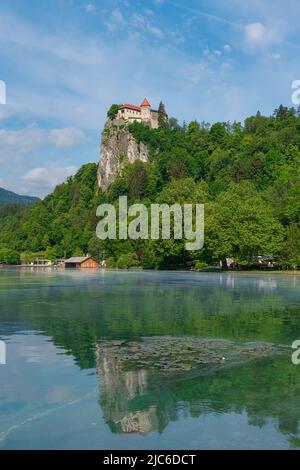 Der malerische Bled-See mit der historischen Burg Bled auf der steilen Klippe in den Julischen Alpen in Slowenien Stockfoto