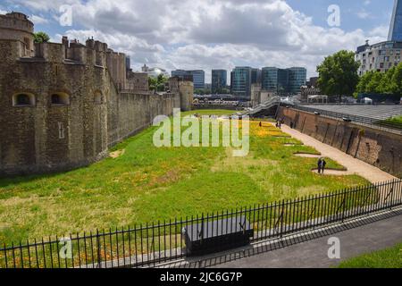 London, Großbritannien. 10.. Juni 2022. Anlässlich des Platin-Jubiläums der Königin wurden über 20 Millionen Blumensamen im Graben um den Tower of London gepflanzt, um ein Blumenspektakel zu schaffen und Bestäuber anzuziehen. Das unerwartete Wetter hat jedoch dazu geführt, dass Blumen später als erwartet blühen. Kredit: Vuk Valcic/Alamy Live Nachrichten Stockfoto