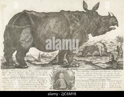 Das Nashorn Clara vor einer Landschaft stehend, 1741. Nashorn in der Landschaft, rechts zwei Männer schießen Pfeile auf ein Nashorn und einen Elefanten, der sich gegenseitig bekämpft, auf der anderen Seite segelt ein Schiff aus einem Hafen. Am Rand ein Porträt von Douwe Mout van der Meer. Mit Titeln in Latein, Französisch, Niederländisch und Englisch, die Rhino Clara, 1741 Vera Bildnis Rhinocerotis (... ) / Wahres Bild eines lebhaften Renoceros oder Rhinozeros, der im Jahr 1741, als er drei Jahre alt war, von Capteyn Douwemout van der Meer von Bengalen nach Holland gebracht wurde und in Asien auf dem Gebiet der Großmogul gefangen wurde Stockfoto