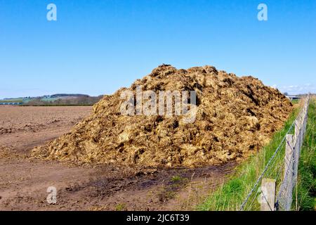 Am Rande eines Feldes stapelte sich der Dünger auf dem Hof, der als natürlicher, umweltfreundlicher Dünger zur Verbreitung bereit war. Stockfoto