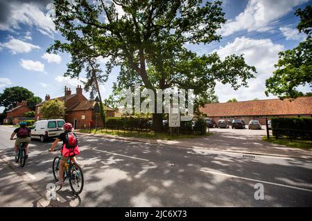 Doddington Hall ist von außen ein elisabethisches Wunderhaus oder Herrenhaus mit ummauerten Innenhöfen und einem Giebelhaus. Im Inneren wurde es im Jahr 1760s weitgehend aktualisiert. Es befindet sich im Dorf Doddington, westlich der Stadt Lincoln in Lincolnshire, England. Die Halle und die Gärten sind für die Öffentlichkeit zugänglich und bieten Einrichtungen für private Führungen und Schulbesuche. In den Gärten steht ein von Anthony Jarvis 1973 entworfener Tempel.in der Long Gallery finden Sommerkonzerte und gelegentliche Ausstellungen statt. Auf dem Anwesen wurden weitere Geschäfte entwickelt. Stockfoto