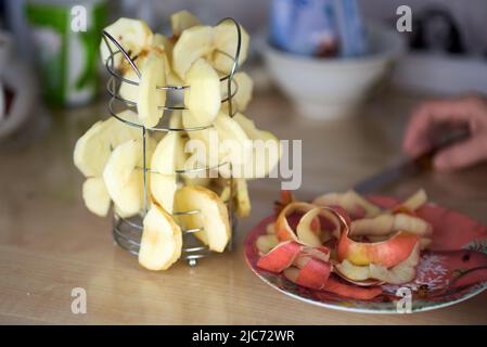 Ausgefallener, kreativer Stahl-Fruchttrockner. Stockfoto