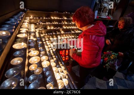 Bukarest, Rumänien - 14. April 2019: Gläubige römisch-katholischer Katholiken nehmen an der Feier des Palmsonntages in der Kathedrale Saint Joseph in Bukarest Teil. Stockfoto