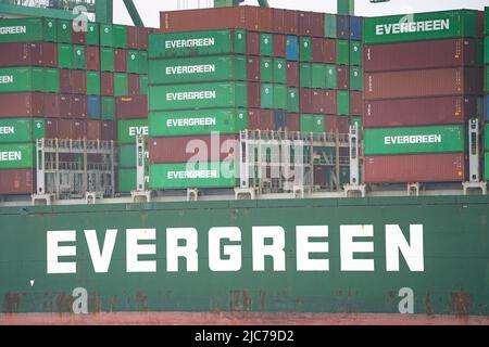 San Pedro, Kalifornien, USA. 10.. Juni 2022. Evergreen Shipping im Hafen von Los Angeles in San Pedro, Kalifornien 10. Juni 2022. (Bild: © Dominick Sokotoff/ZUMA Press Wire) Bild: ZUMA Press, Inc./Alamy Live News Stockfoto