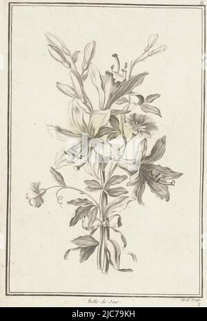 Die Blumen sind mit einem Band zusammengebunden. Oben rechts befindet sich der Buchstabe B. Bouquet mit Lilie Belle de Jour Iie Cahier de Bouquets , Druckerei: Jean Jacques Avril (I), (auf Objekt erwähnt), Jean Baptiste Monnoyer, Herausgeber: Jacques-François Chéreau, Druckerei: Frankreich, (Möglicherweise), Frankreich, (möglicherweise), Herausgeber: Paris, 1754 - 1794, Papier, Gravur, H 241 mm × B 160 mm Stockfoto