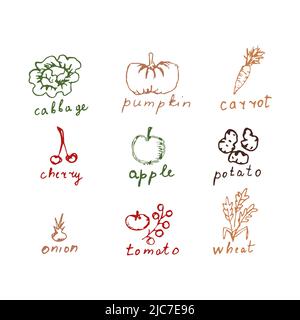 Vektorset für isolierte Lebensmittelelemente Stock Vektor