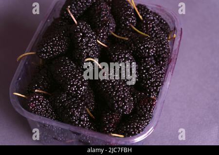 Schwarze Maulbeeren in Kunststoff-Box-Paket zum Verkauf . Nahaufnahme. Bereit zum Essen. Isolierter lilafarbiger Hintergrund. Stockfoto