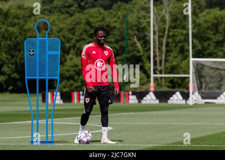 PONTYCLUN, WALES - 10. JUNI 2022: Der walisische Rabbiner Matondo während einer Trainingseinheit im Vale Resort vor der League A 2022 Nations League gegen Belgien am 11.. Juni 2022 im Cardiff City Stadium. (Bild von John Smith/FAW) Stockfoto