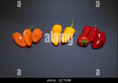 Rote, orange und gelbe Minischoten auf grau isoliert. Stockfoto