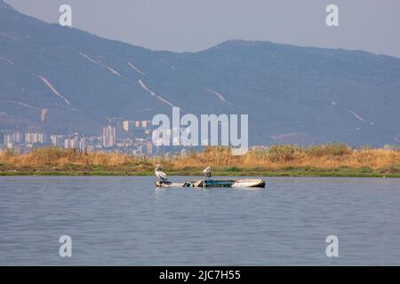 9. Juni 2022: Flamingo und andere Reihervögel mit Blick auf die Stadt im Hintergrund vom Vogelparadies im Gediz-Delta, einem ausgedehnten Feuchtgebiet, das an der Westküste der Izmir-Bucht entstand, wo der Gediz-Fluss am 9. Juni 2022 mit der Ägäis in der Türkei zusammentrifft. Das Delta, das als Ramsar-Gebiet, Wildlife Protection Area und Natural Protected Area zum Schutz qualifiziert ist, beherbergt rund 300 Vogelarten und wurde zum UNESCO-Weltkulturerbe ernannt. (Bild: © Tolga Ildun/ZUMA Press Wire) Stockfoto