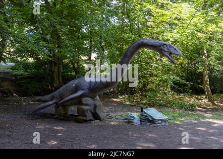 Jurassic Encounter feiert sein Debüt in Großbritannien im Grovelands Park in Southgate, London. Jurassic Encounter ist ein Familienevent, eine interaktive Installation von 50 lebensgroßen animatronischen Dinosauriern aus der Jurazeit, der Trias und der Kreidezeit. Jeder Dinosaurier hat Roboterbewegungen, Arme bewegen sich auf und ab, Schwänze wiegen sich von Seite zu Seite, Köpfe bewegen sich auf und ab, Augen blinken, Kiefer öffnen sich weit mit realistisch brüllenden Soundeffekten. Mit: Atmosphäre wo: London, Großbritannien Wann: 23 Jul 2021 Kredit: Phil Lewis/WENN Stockfoto