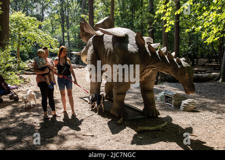 Jurassic Encounter feiert sein Debüt in Großbritannien im Grovelands Park in Southgate, London. Jurassic Encounter ist ein Familienevent, eine interaktive Installation von 50 lebensgroßen animatronischen Dinosauriern aus der Jurazeit, der Trias und der Kreidezeit. Jeder Dinosaurier hat Roboterbewegungen, Arme bewegen sich auf und ab, Schwänze wiegen sich von Seite zu Seite, Köpfe bewegen sich auf und ab, Augen blinken, Kiefer öffnen sich weit mit realistisch brüllenden Soundeffekten. Mit: Atmosphäre wo: London, Großbritannien Wann: 23 Jul 2021 Kredit: Phil Lewis/WENN Stockfoto