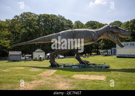 Jurassic Encounter feiert sein Debüt in Großbritannien im Grovelands Park in Southgate, London. Jurassic Encounter ist ein Familienevent, eine interaktive Installation von 50 lebensgroßen animatronischen Dinosauriern aus der Jurazeit, der Trias und der Kreidezeit. Jeder Dinosaurier hat Roboterbewegungen, Arme bewegen sich auf und ab, Schwänze wiegen sich von Seite zu Seite, Köpfe bewegen sich auf und ab, Augen blinken, Kiefer öffnen sich weit mit realistisch brüllenden Soundeffekten. Mit: Atmosphäre wo: London, Großbritannien Wann: 23 Jul 2021 Kredit: Phil Lewis/WENN Stockfoto