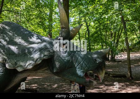 Jurassic Encounter feiert sein Debüt in Großbritannien im Grovelands Park in Southgate, London. Jurassic Encounter ist ein Familienevent, eine interaktive Installation von 50 lebensgroßen animatronischen Dinosauriern aus der Jurazeit, der Trias und der Kreidezeit. Jeder Dinosaurier hat Roboterbewegungen, Arme bewegen sich auf und ab, Schwänze wiegen sich von Seite zu Seite, Köpfe bewegen sich auf und ab, Augen blinken, Kiefer öffnen sich weit mit realistisch brüllenden Soundeffekten. Mit: Atmosphäre wo: London, Großbritannien Wann: 23 Jul 2021 Kredit: Phil Lewis/WENN Stockfoto